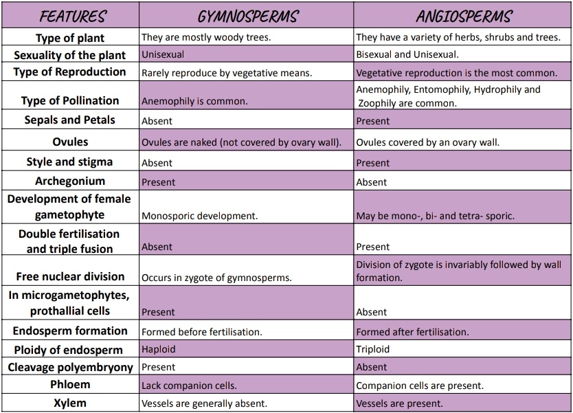 Differences between Gymnosperms and Angiosperms: