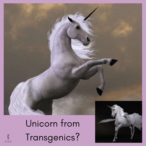 Can we create a Unicorn by DNA manipulation? - My Biology Dictionary