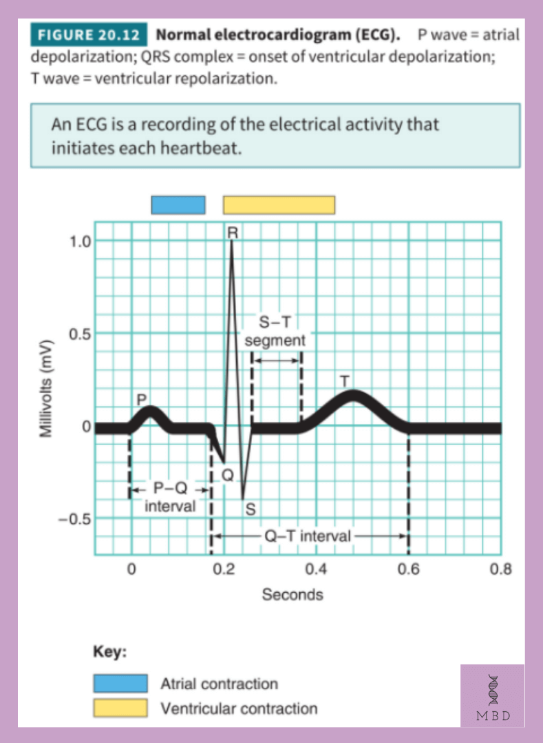 Importance of ECG electrocardiogram
