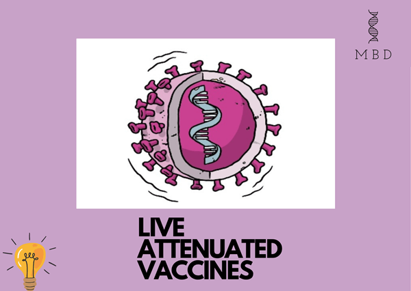 Live attenuated vaccines