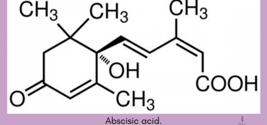 abscisic acid.