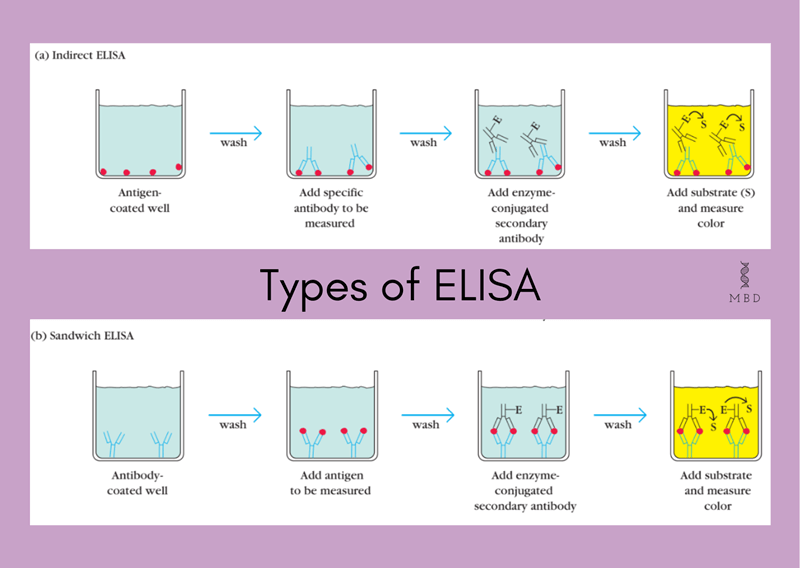 Types of ELISA
