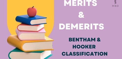 merits and demerits