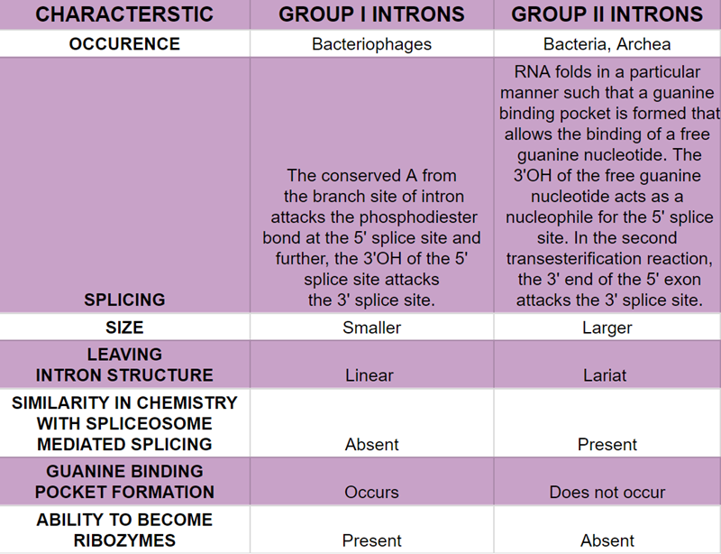 group I introns vs group II introns