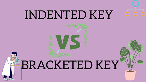 indented key vs bracketed key