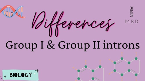 group I vs group II introns