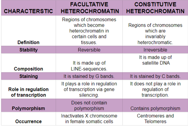 Difference Between Facultative And Constitutive Heterochromatin My 