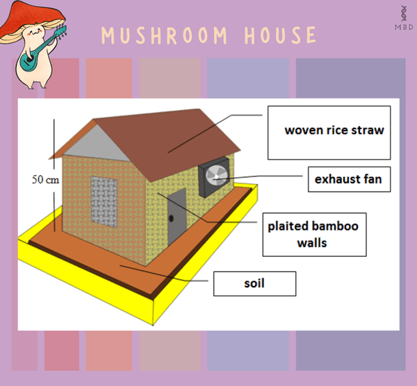 Oyster mushroom house