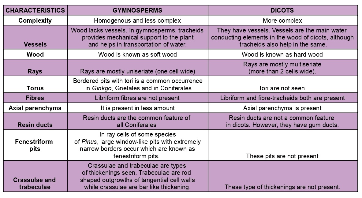 difference between wood of Gymnosperms and Dicots 