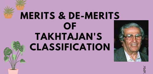 Takhtajan's classification