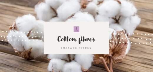Cotton fibres