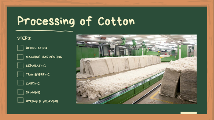 processing of cotton fibres
