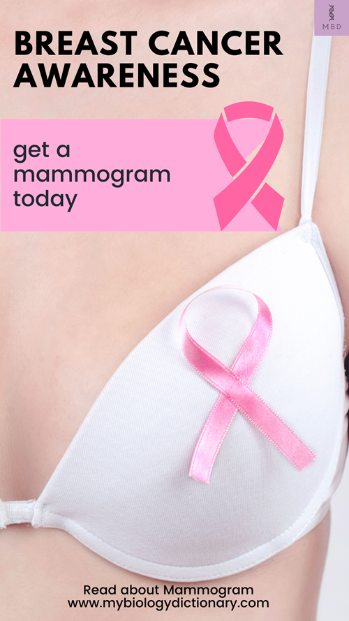 Mammogram Breast cancer