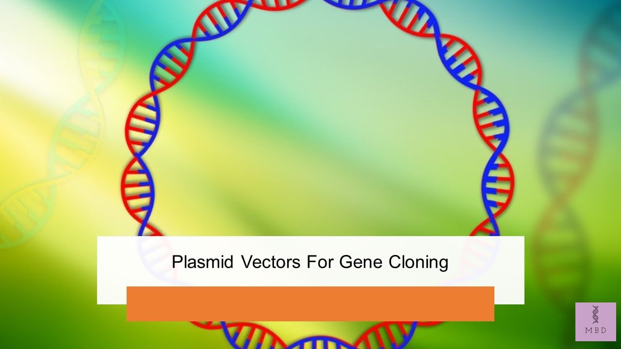 Plasmid Vectors For Gene Cloning