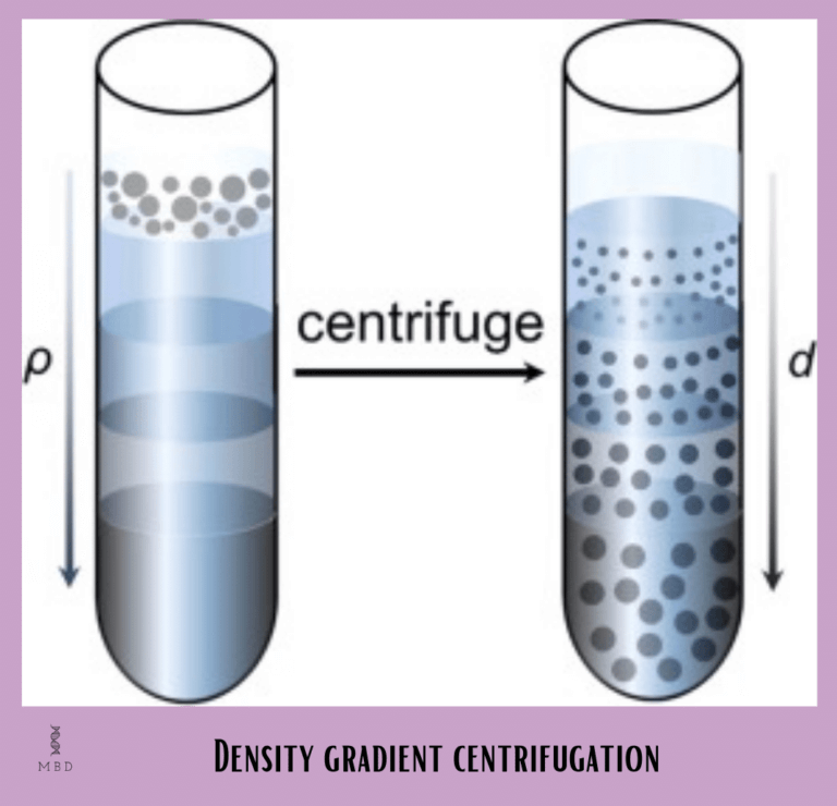 The Centrifuge Definition, Principle, Types and Applications