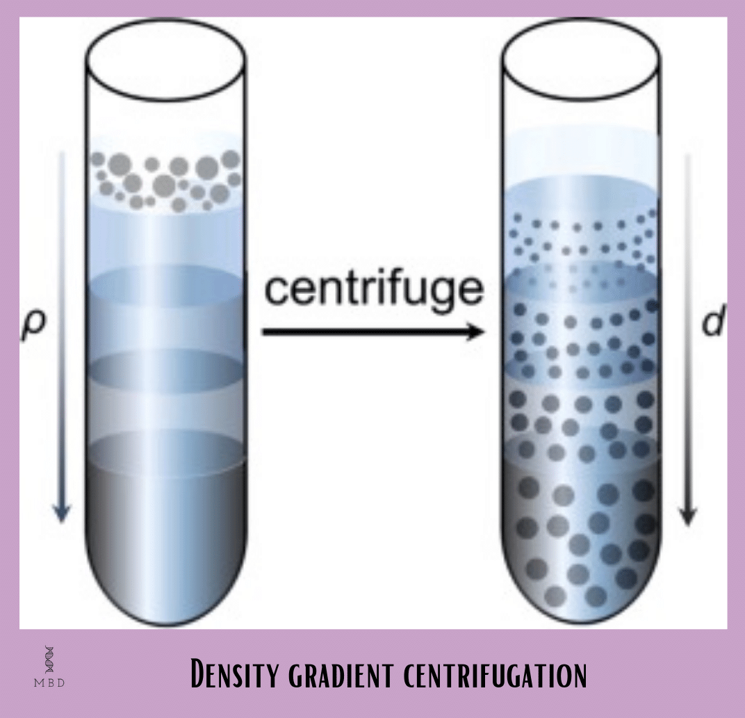 Density gradient centrifuge