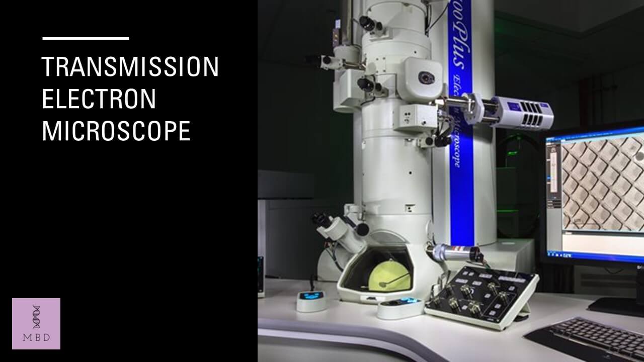 working of Transmission electron microscope