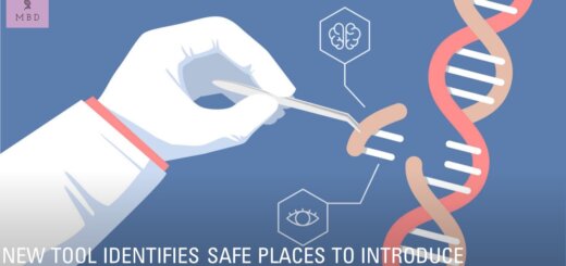 safe places for gene introduction