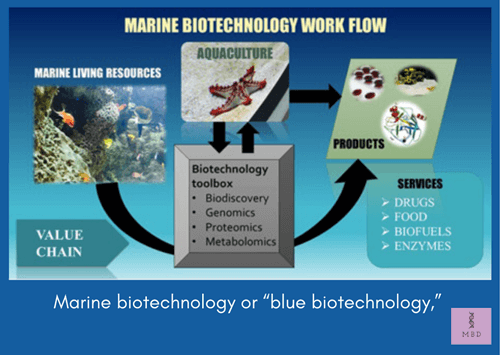 Marine Biotechnology 