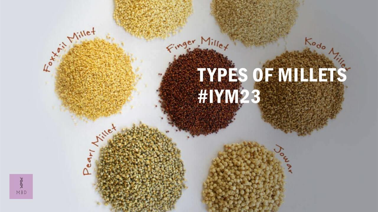 types-of-millets-iym-2023-my-biology-dictionary