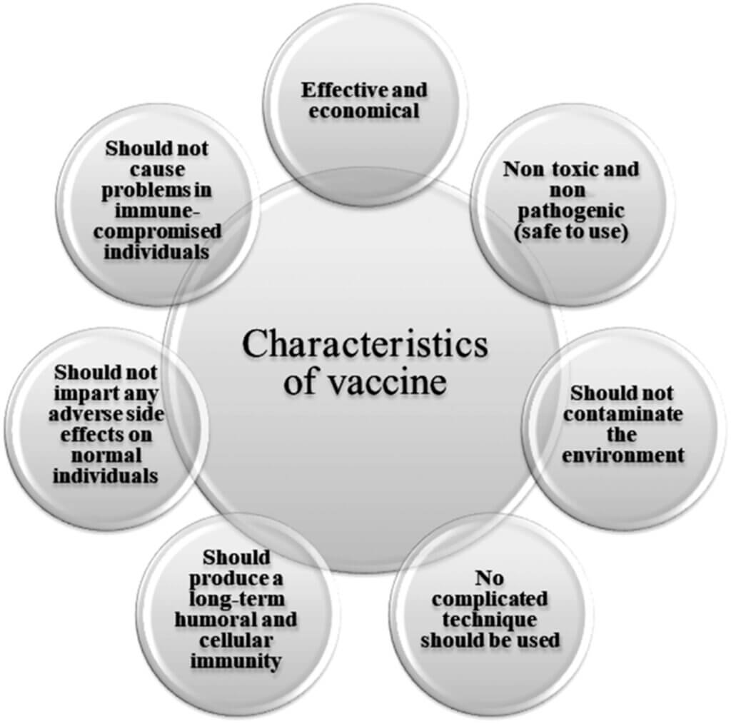 Edible vaccines The plant based vaccines? My Biology Dictionary